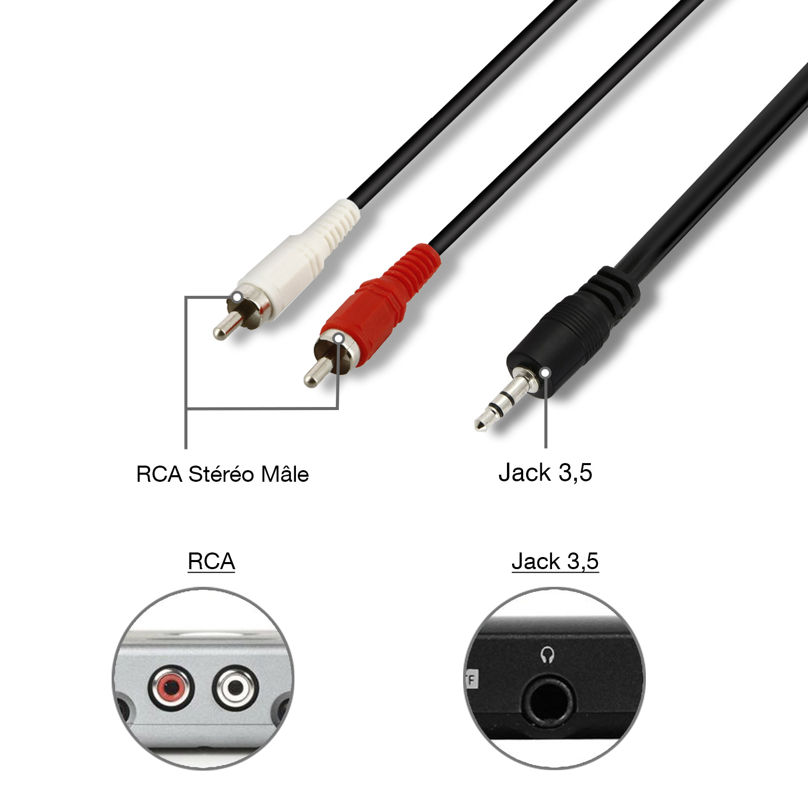 Câble Adaptateur Audio Jack 3.5 mm vers RCA Stéréo Mâle – Longueur 1.5 m -  Français