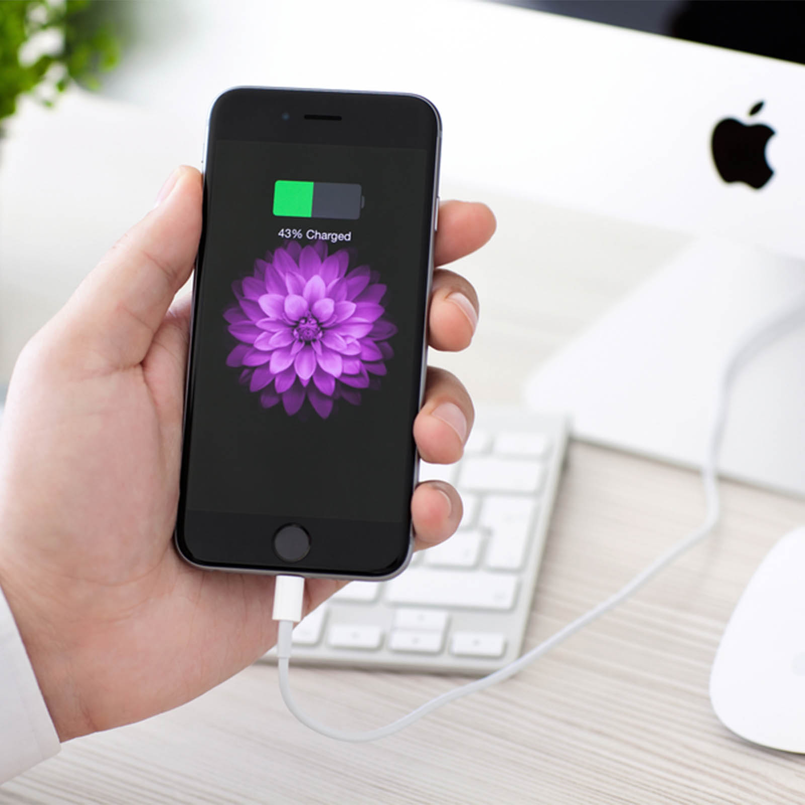 Google Nexus 5X Cavo USB C Type C Marcato CELLONIC Ricarica Rapida 3A Trasferimento Dati 480 Mbit S Usb 2 0 O2 - Foto 9