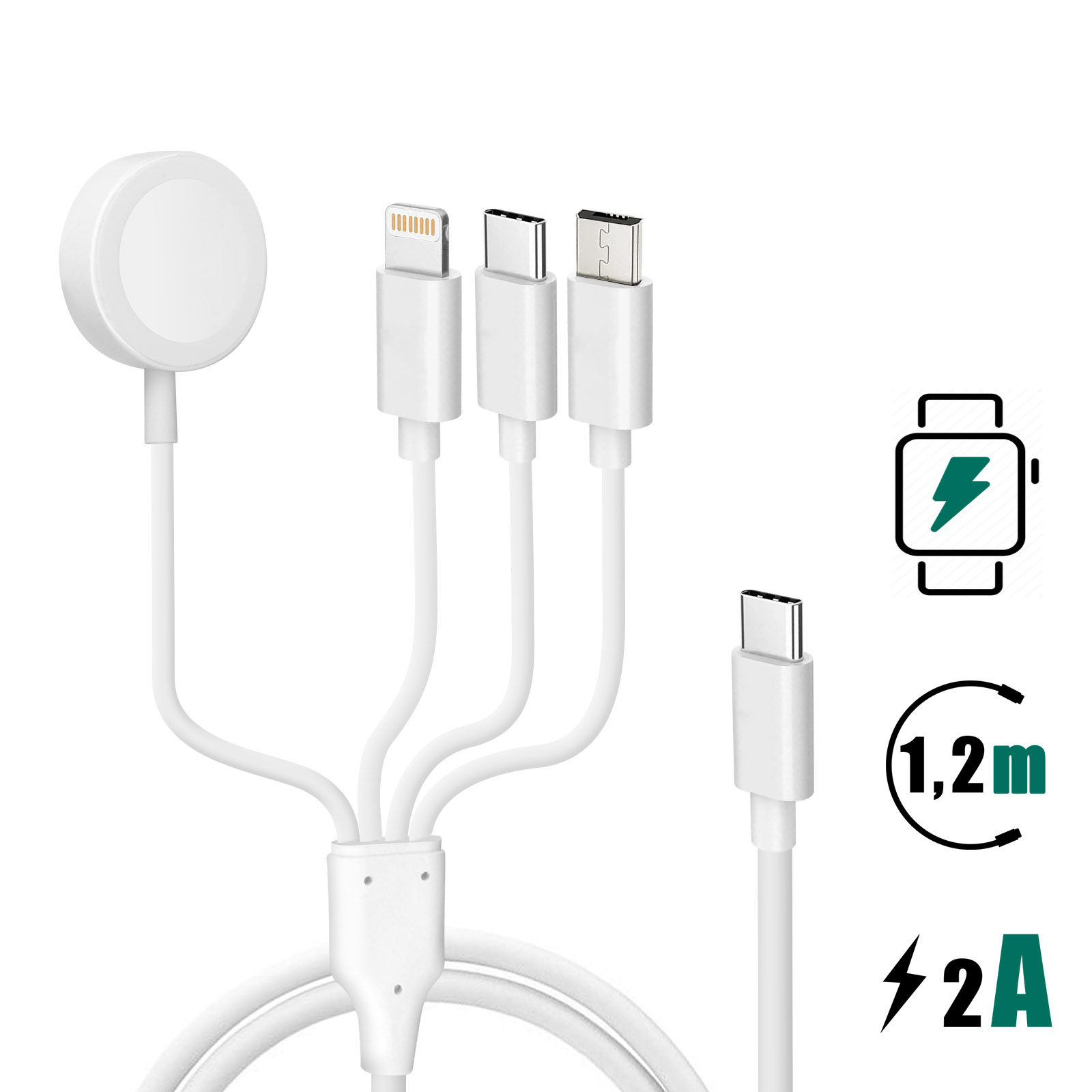 Câble Universel USB-C pour Smartphone et Tablette + Chargeur Magnétique  pour Apple Watch - Blanc - Français