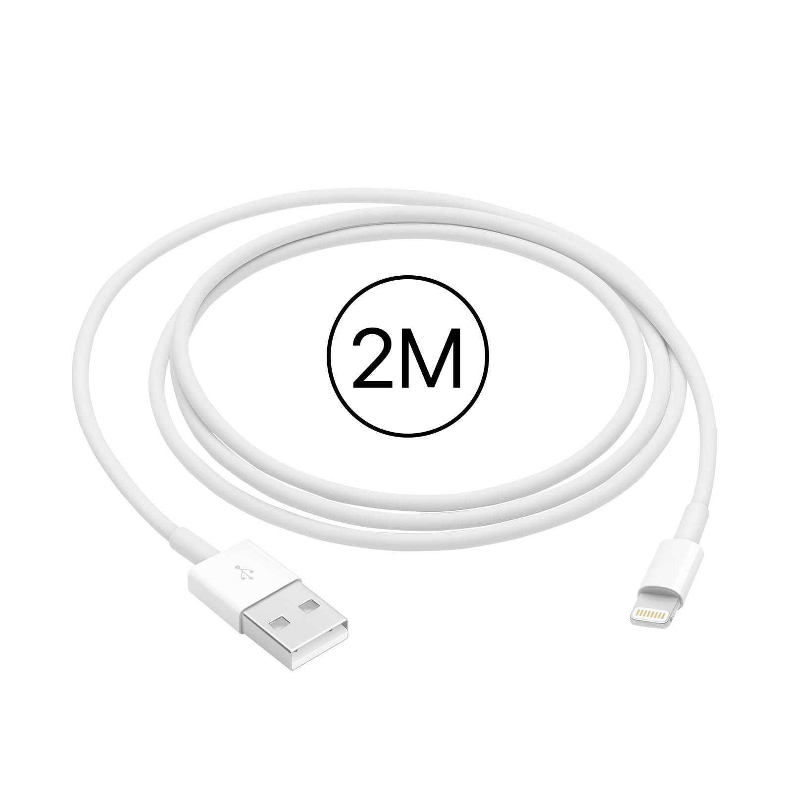 Cable iPhone - iPad Original Apple long. 0,5m connect. Lightning - Apple  ME291ZM/A - Français