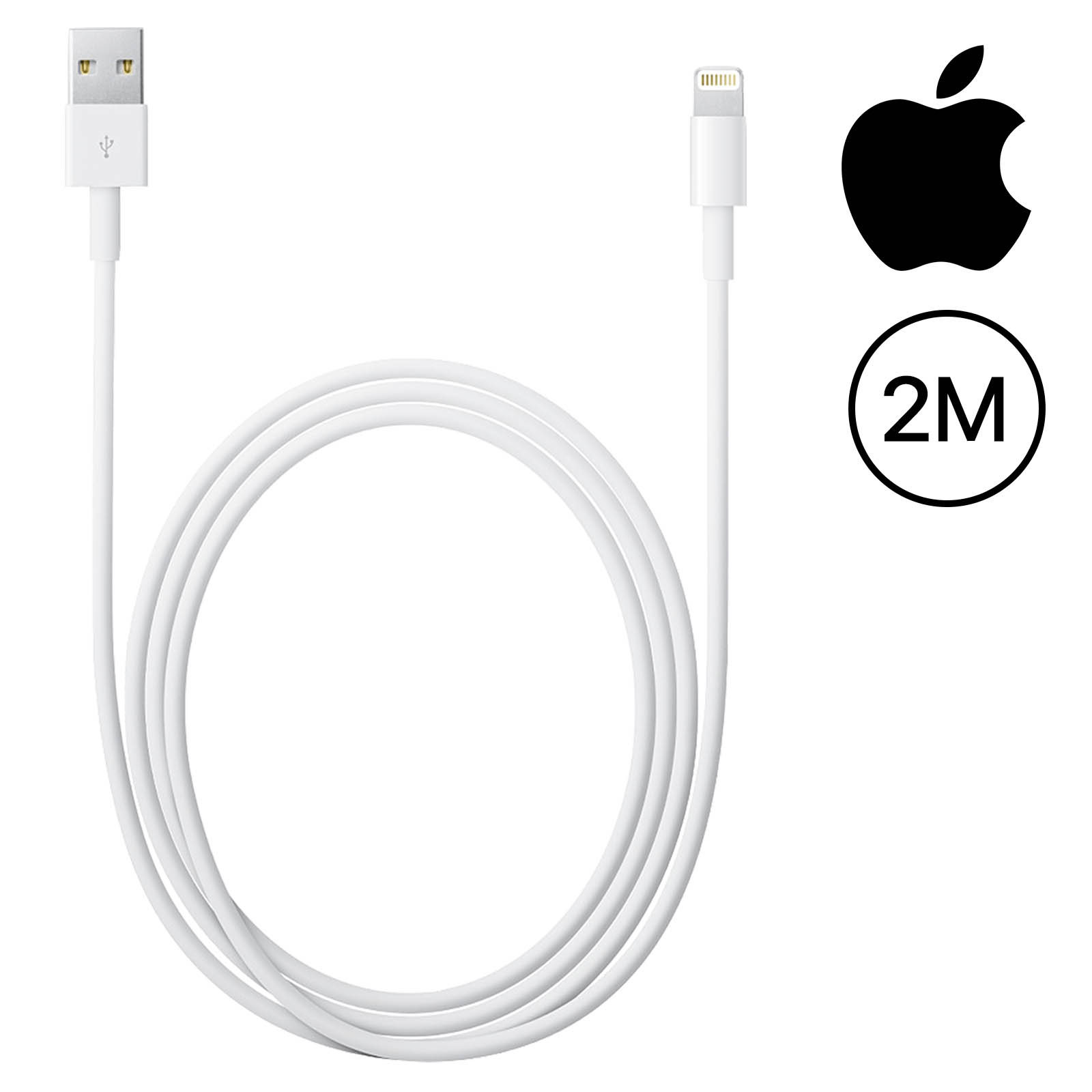 Cable iPhone - iPad Original Apple long. 2m connect. Lightning - Apple  MD819ZM/A - Français
