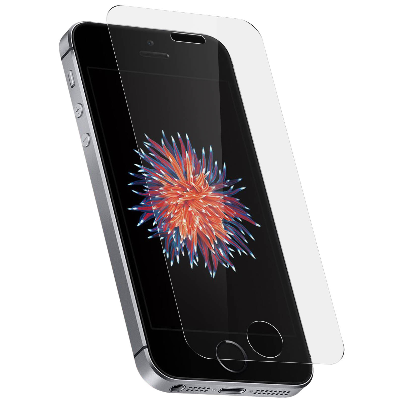 Verre trempé Apple iPhone SE 2016 sur GSM55