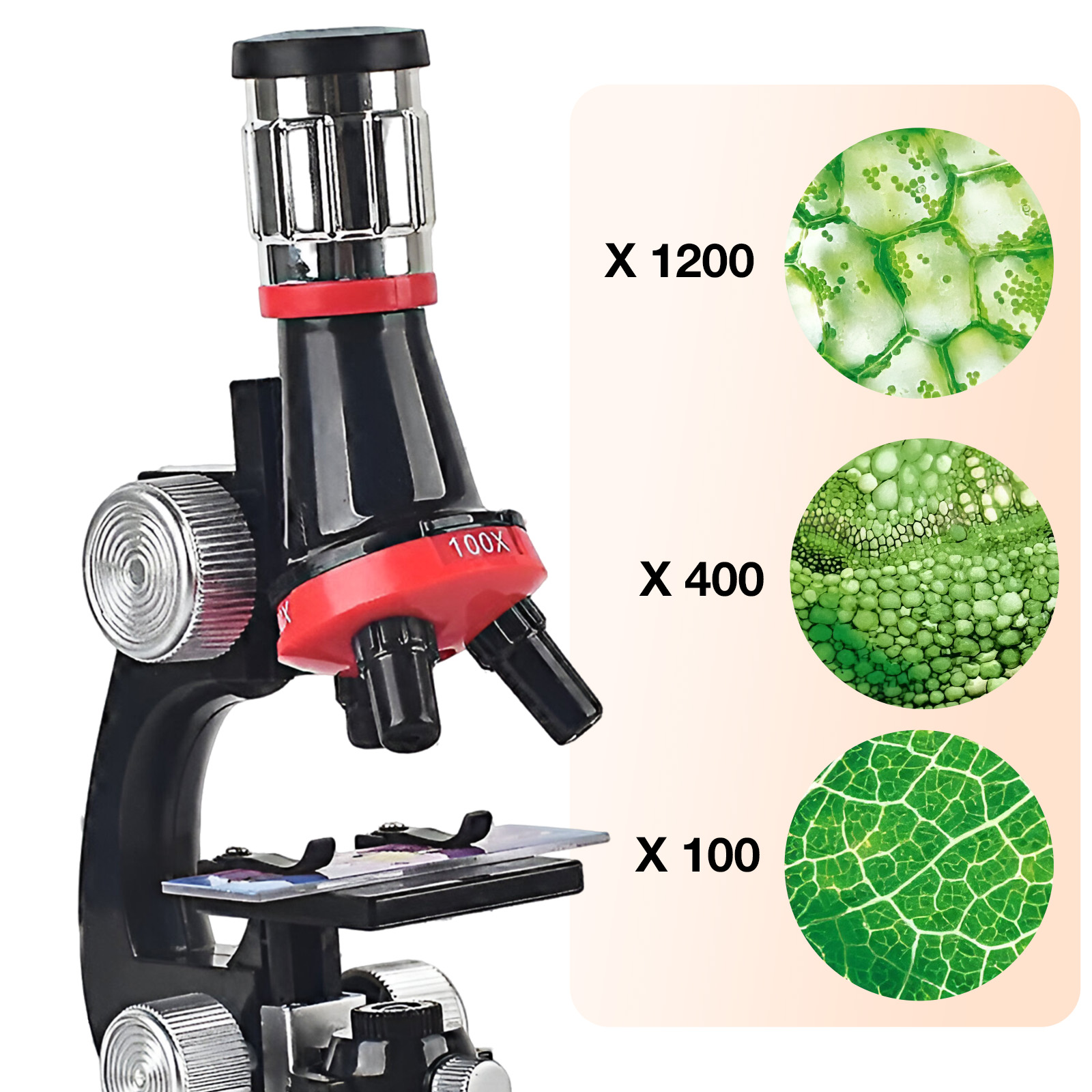 Microscope Portable Pour Enfants – Grossissement 200x à 1200x – Loupe éducative Avec LED – Idéal Pour Les Jeunes Explorateurs