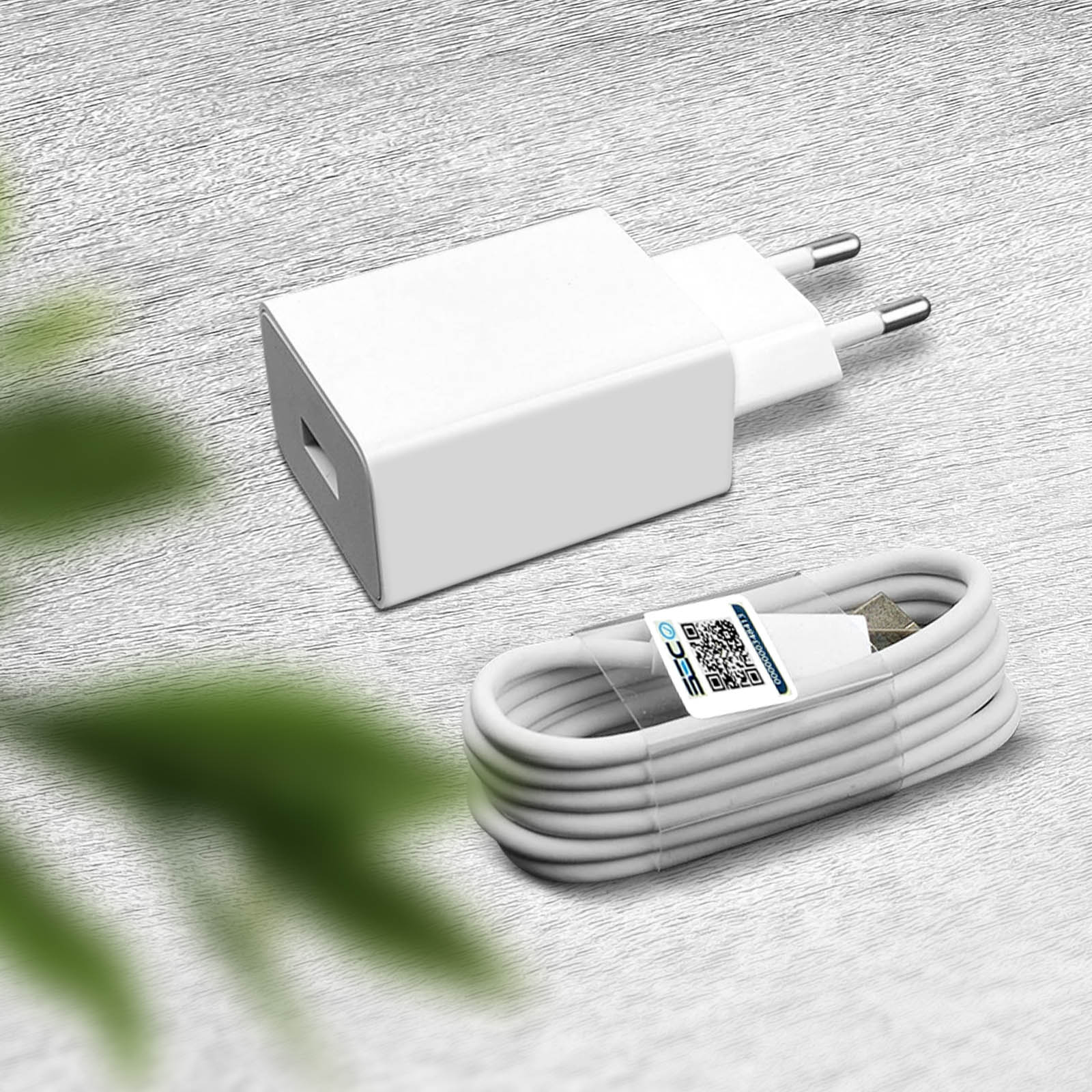 Chargeur pour téléphone mobile VISIODIRECT Chargeur Secteur Rapide USB2 33W  + Cable USB pour Asus Zenfone Max M1 ZB555KL 5.5 - Blanc - 